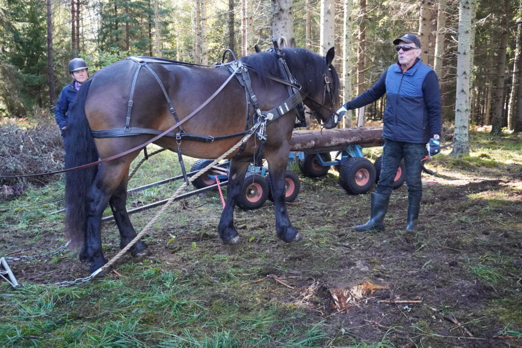 Foto från körkurs med Lars-Åke Uppland. Foto Fia Söderberg